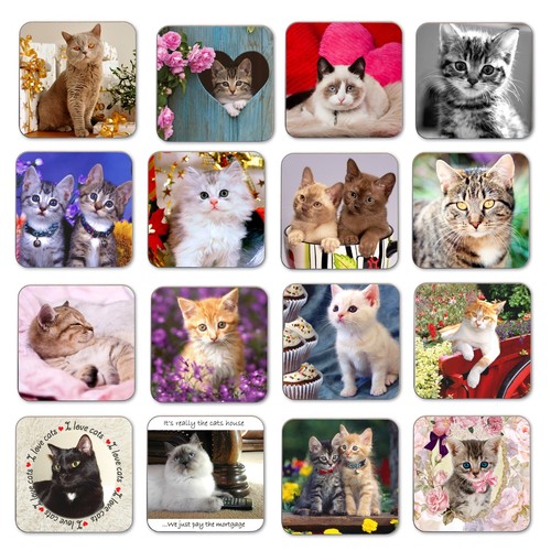 Cat coasters kitten - coasters,