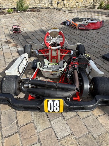 Rotax kart - go,