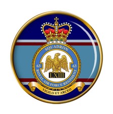 RAF Regiment 63 Squadron Pin