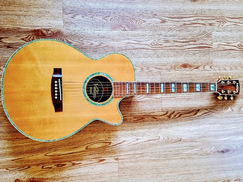 Vintage elecro acoustic folk - elecro-acoustic,