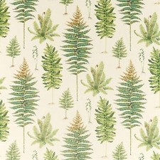 Sanderson Fernery Olive Curtain Fabric, Material, DGLA226578, 138 cm width