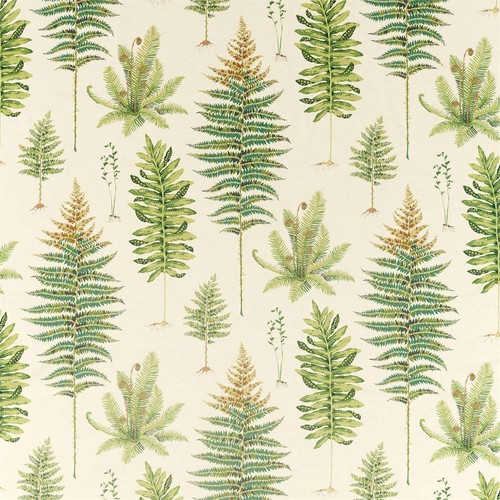 Sanderson fernery olive - sanderson,