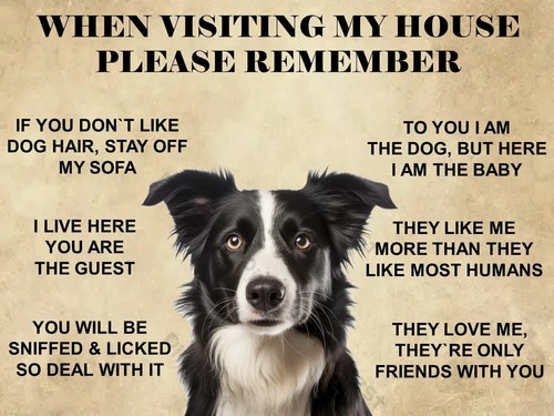 Funny cute border - funny,