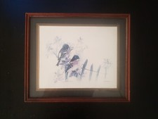 Joel Kirk Coloured Bird Print 27cmH x 32cmW