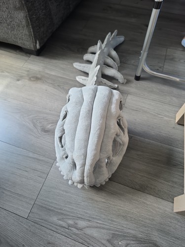 Dinosaur costume for kids - dinosaur,