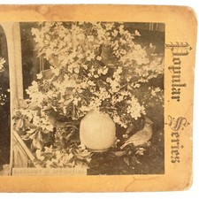 Spring Flowers Still Life