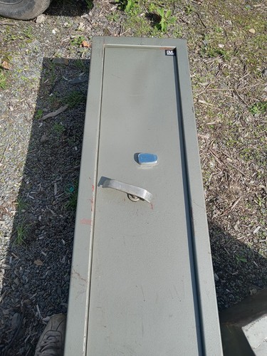 Safe gun rifle firearms with - safe,