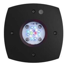 AI Prime 16 Marine HD LED Light Unit - Black