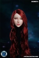 1/6 Female Head Sculpt SDH027