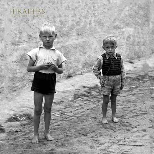 Traitrs horses in - traitrs,