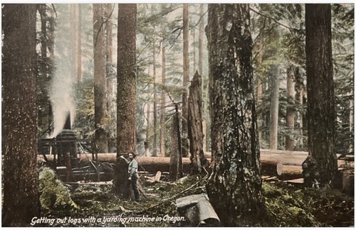 Logging timber oregon - timber, in