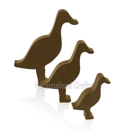 Pack duck wellies for - 2,