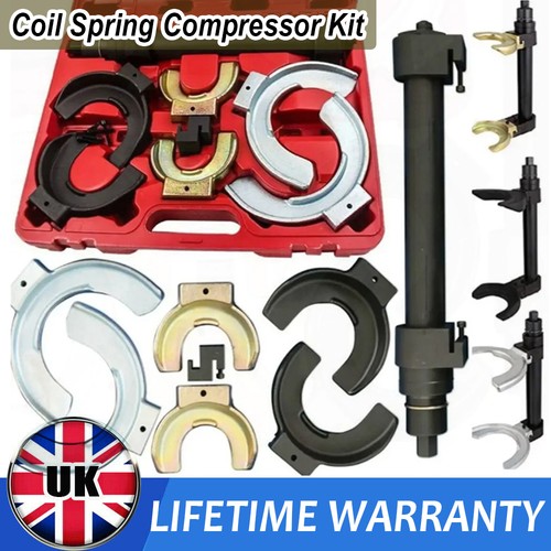Universal strut spring - strut,