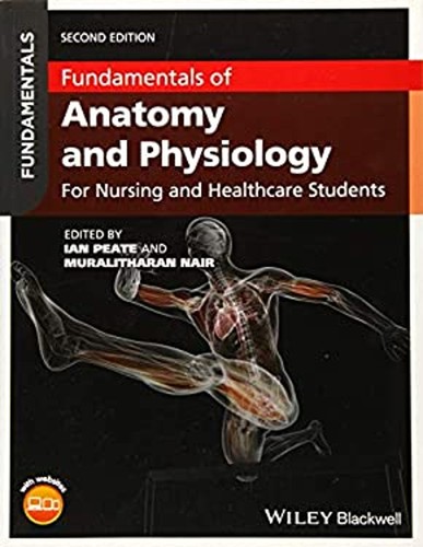 Fundamentals anatomy and - fundamentals,