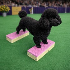 Handcrafted Dog Training