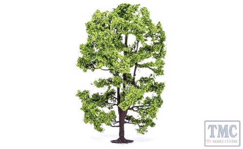 R7217 scale acacia tree - r7217, oo