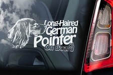 German Longhaired Pointer