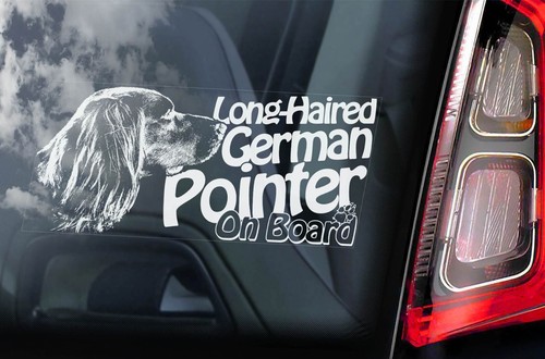 German longhaired pointer - german,