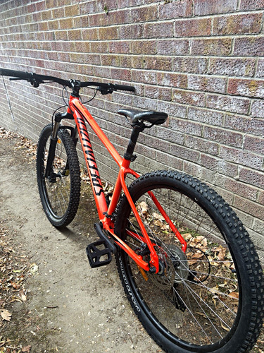 Specialized rockhopper 29in - specialized,