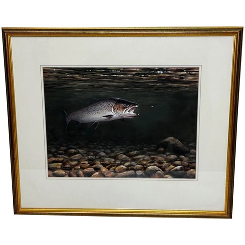 Sporting painting sea trout - painting,