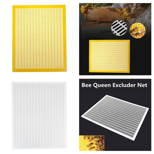 Practical separate queen bees - practical,