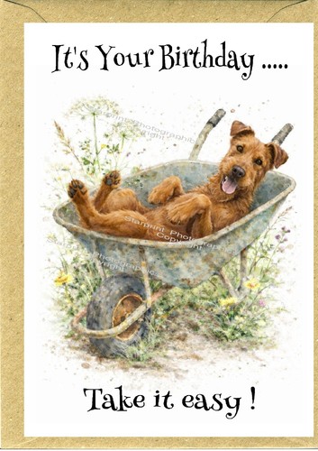 Irish terrier dog - irish, (4"x