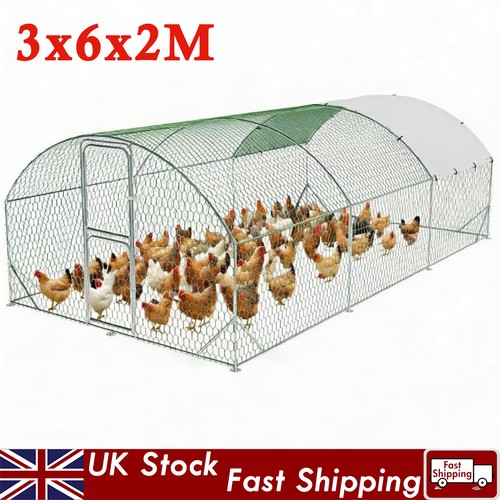 3x6x2m walk chicken run - chicken,
