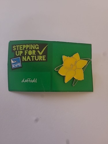 Rspb daffodil pin badge - daffodil,