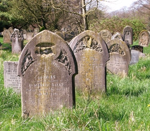 Photo 6x4 19th - , century