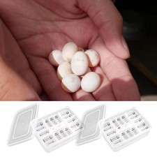 Reptile Egg Incubator Box DIY