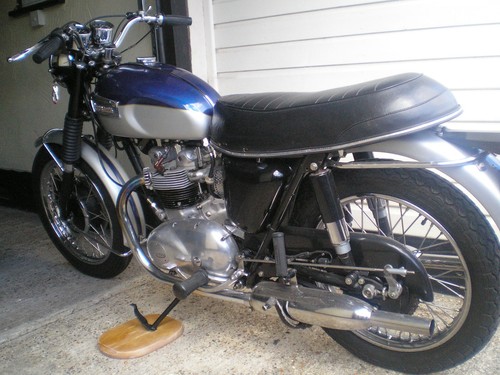 Triumph tiger with t 100 - triumph,