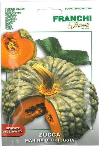 Franchi seeds pumpkin squash - seeds,