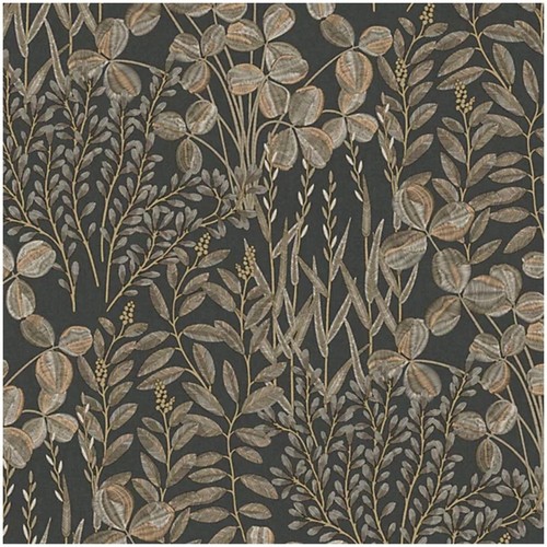 Dark brown botanical - botanical, wallpaper