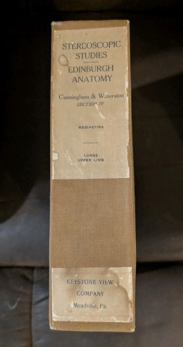 Stereoscopic studies - stereoscopic,