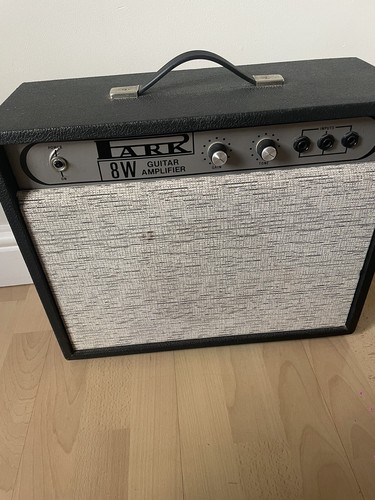 Park vintage combo practice - 8w,