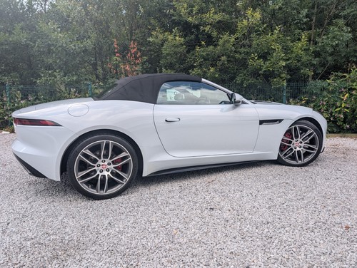 Jaguar type dynamic - v6,