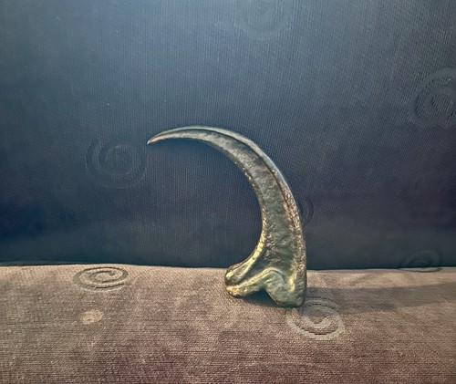 Velociraptor dinosaur claw - dinosaur,