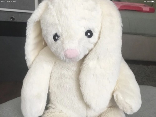 Snuggle buddies rabbit - snuggle,