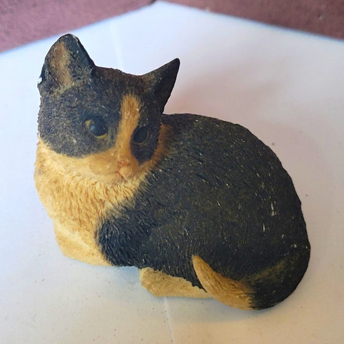 Sherratt simpson cat - sherratt, &
