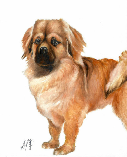 Original oil portrait - original,