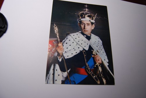 Prince charles official post - charles,