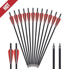 12PCS Crossbow Bolts