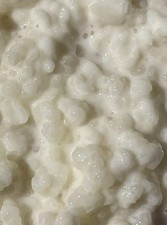 Organic Kefir Grains, Premium Quality, 10g, Free Post