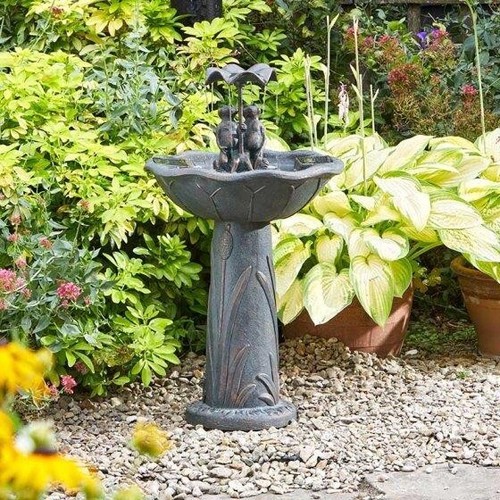Solar water fountain - fountain, bird