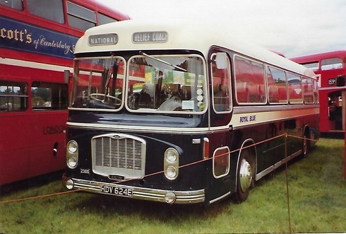 Bus photo hdv624e royal - bus,