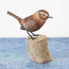 Small Wooden Wren Bird