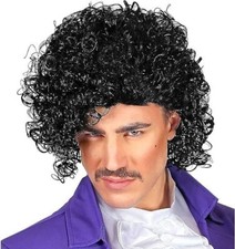 Mens 1980s Rock Prince Wig