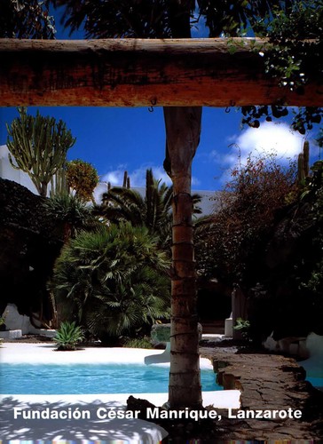 Fundacion cesar manrique - fundacion,