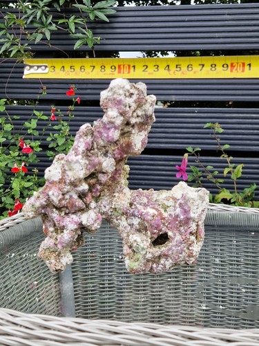 Tmc eco reef marine aquarium - tmc,