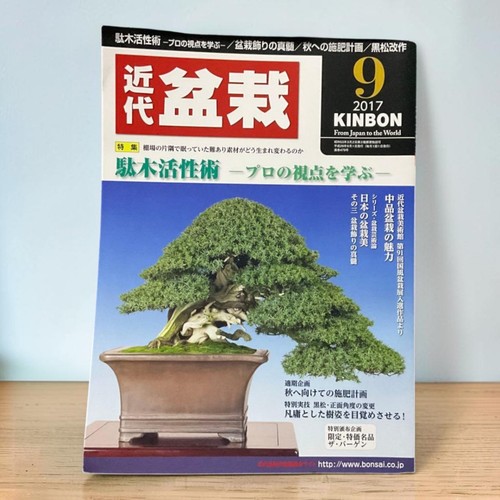 Kindai bonsai magazine - kindai,
